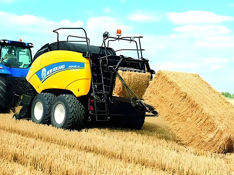 菱形花紋帶 菱形花紋帶