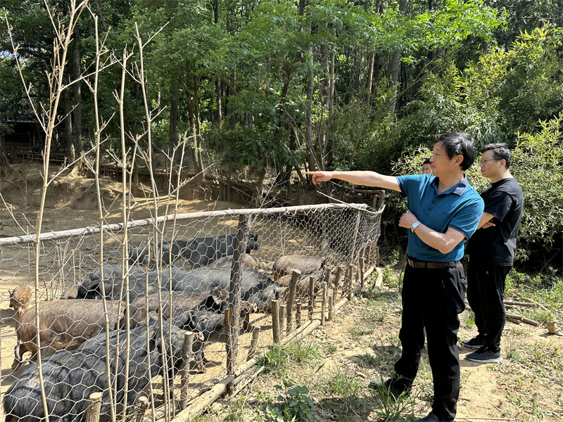 “追尋紅色足跡，擁抱生態(tài)夏意”-夏日團建活動9